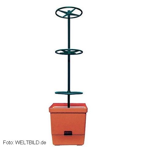 10 Tomaten-Tower (Pflanzkübel), mit runder Rankhilfe